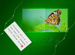 八月未央，致竹子1975 一場圖文設計的原創之約